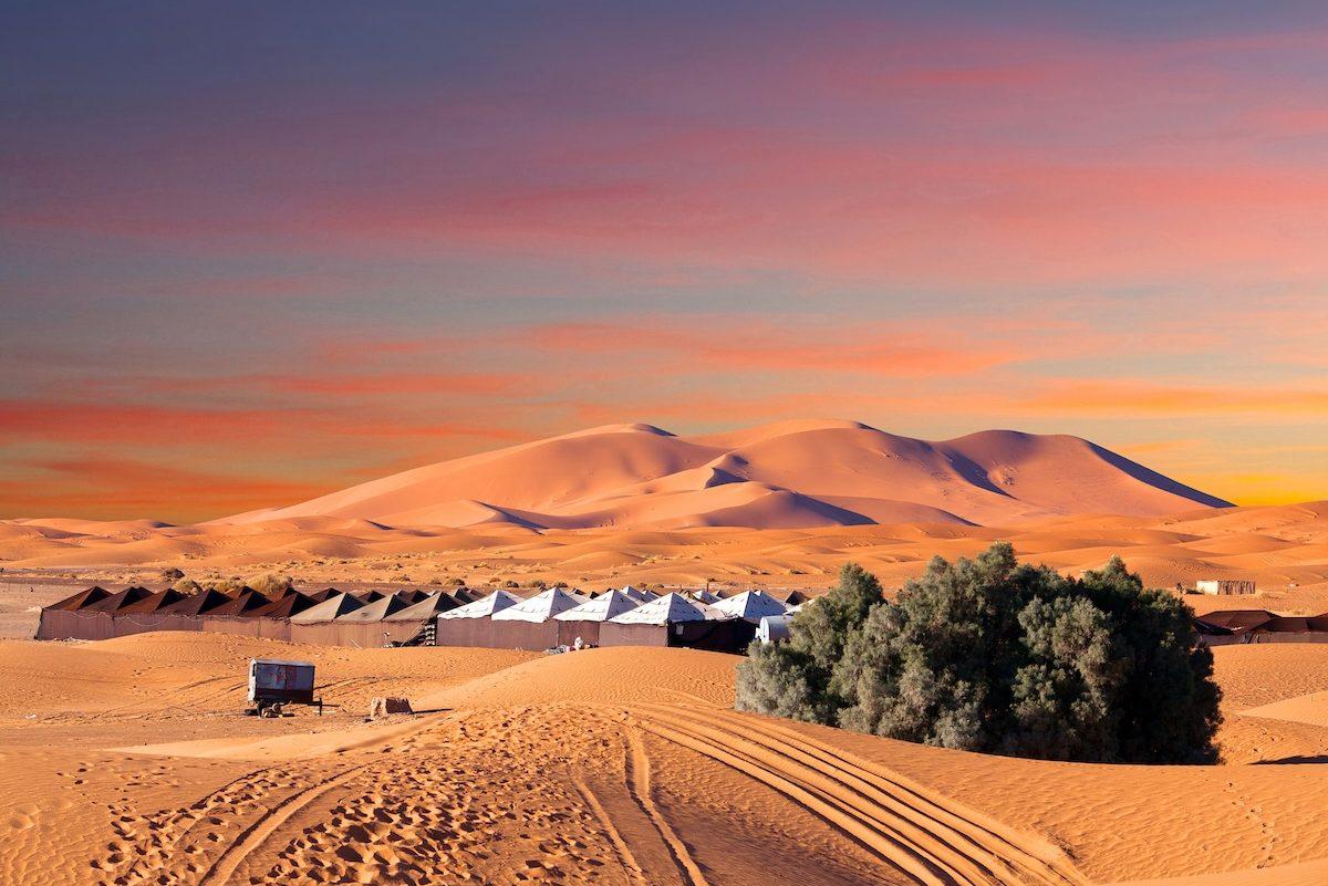 Balade en Chameau dans le Désert de Merzouga